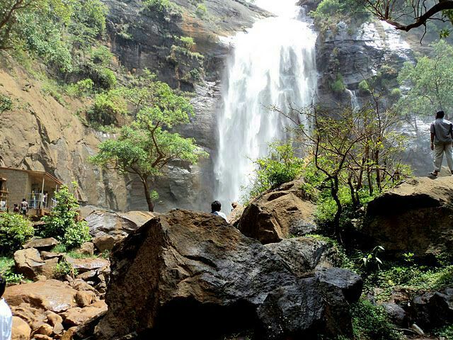 Agaya Gangai Waterfalls